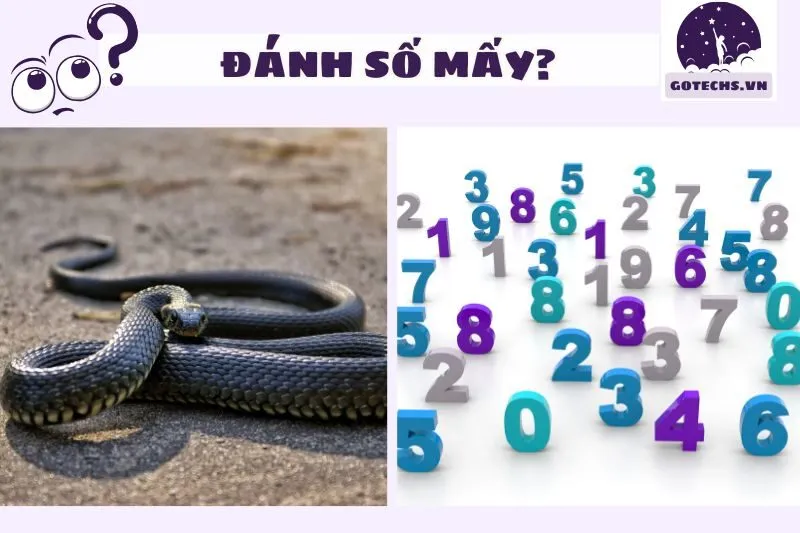 Con số may mắn liên quan đến giấc mơ thấy rắn