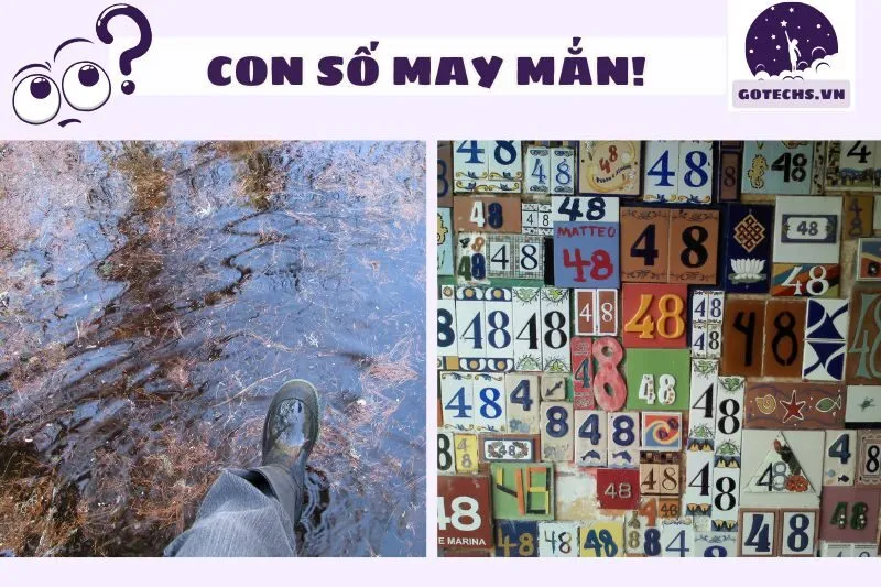 Con số may mắn liên quan đến nằm mơ thấy lội trong nước