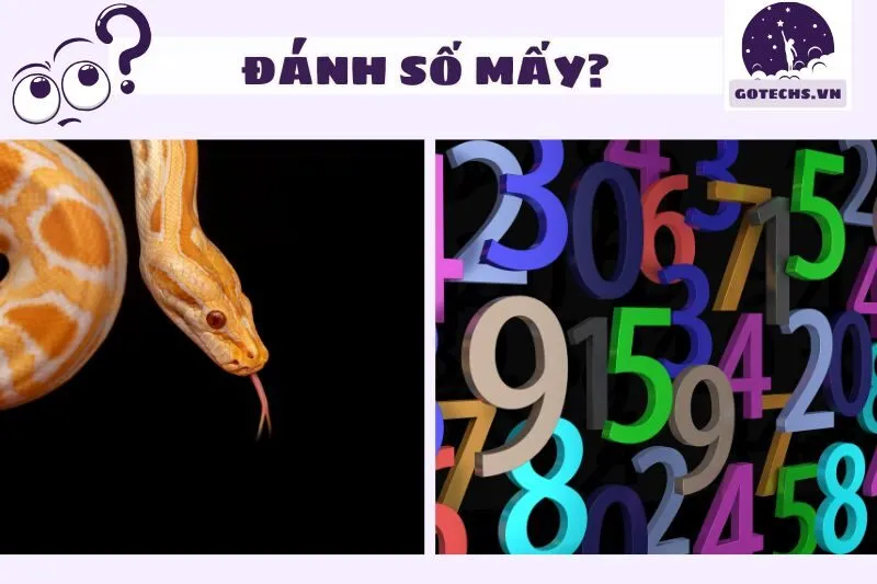 Con Số May Mắn Từ Giấc Mơ Thấy Trăn