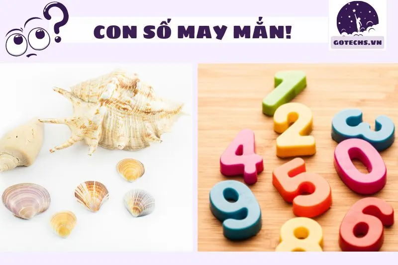 Con Số May Mắn Tương Ứng Với Giấc Mơ Thấy Ốc