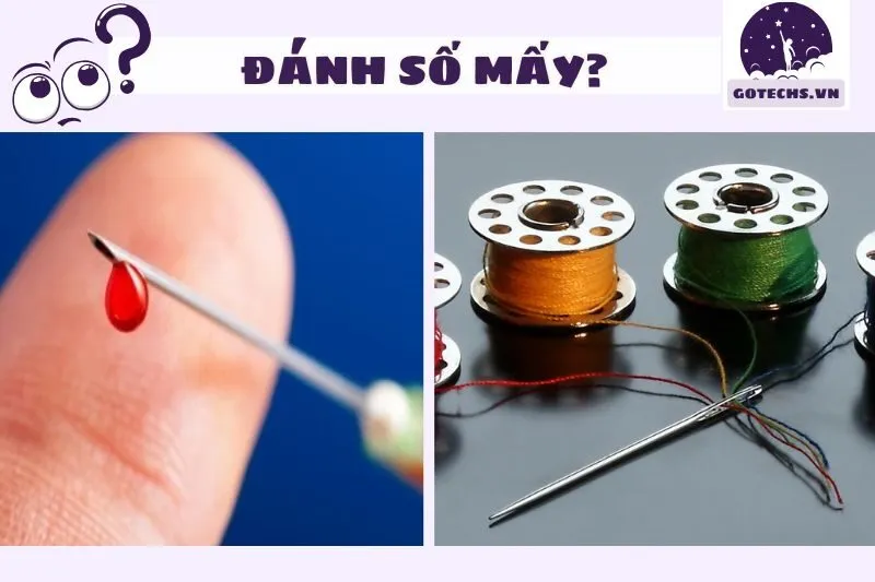 Con số may mắn và giấc mơ thấy cây kim