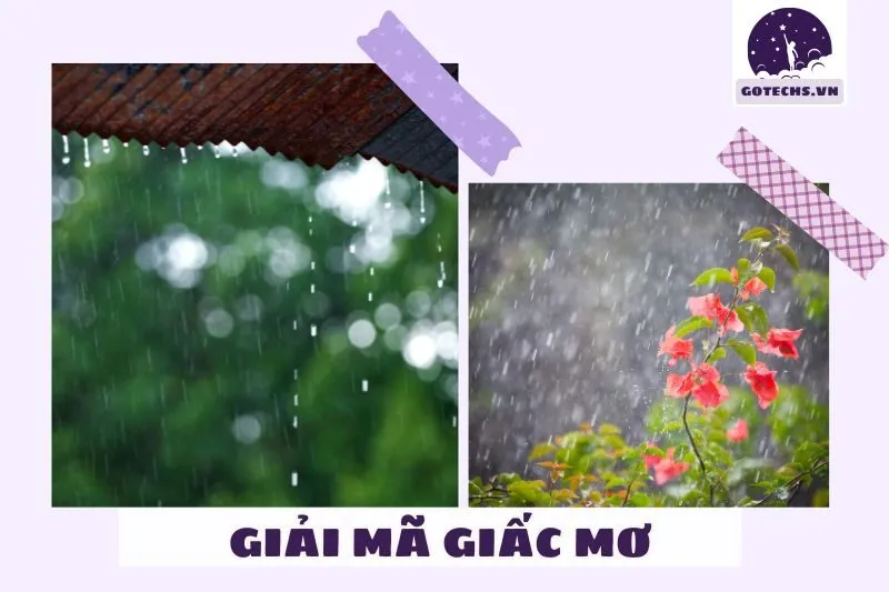 Điềm báo khi mơ thấy hiện tượng mưa khác