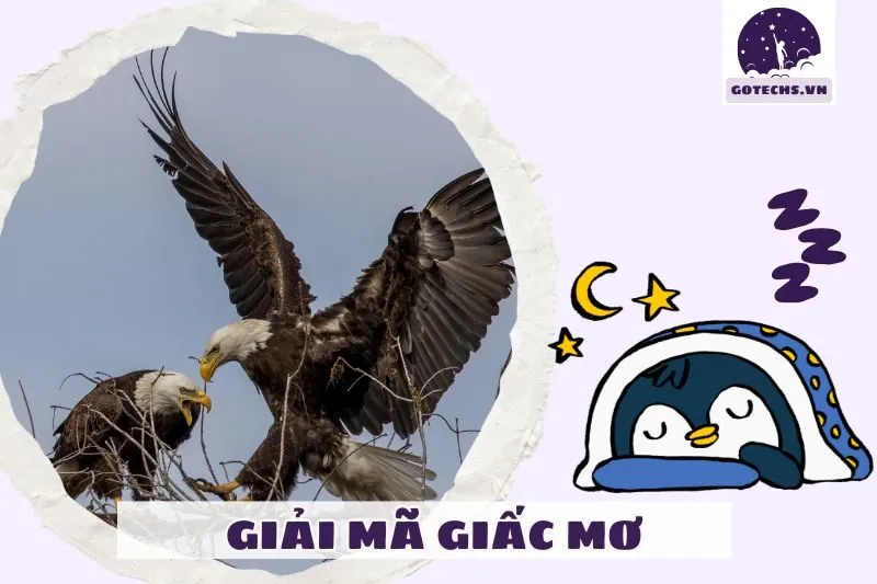 Điềm báo tiêu cực từ giấc mơ thấy chim đại bàng