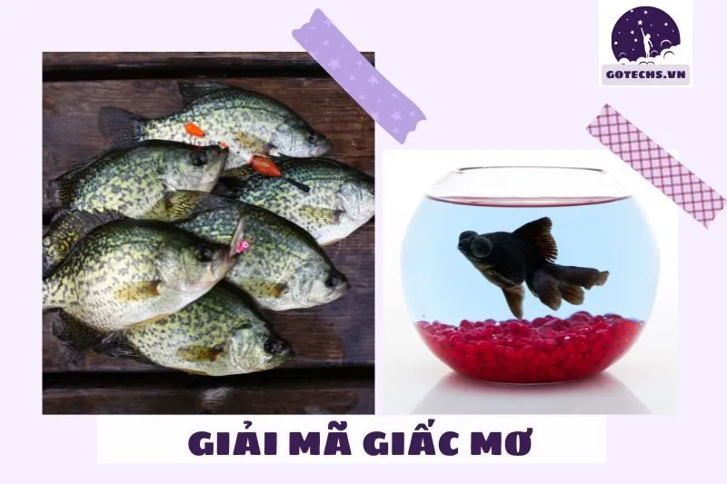 Điềm báo từ các bối cảnh khác nhau