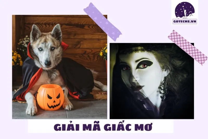 Điềm báo từ giấc mơ ma cà rồng: Lành hay dữ?