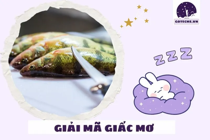 Giấc mơ mang ý nghĩa tích cực hay tiêu cực?