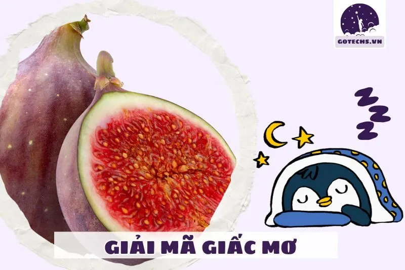Giấc mơ thấy quả sung đỏ