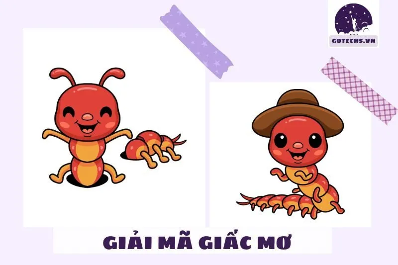 Giấc Mơ Thấy Rết Và Những Biện Pháp Giúp Tránh Điềm Xấu