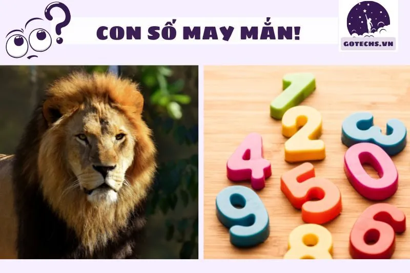 Giấc Mơ Thấy Sư Tử Và Các Con Số May Mắn