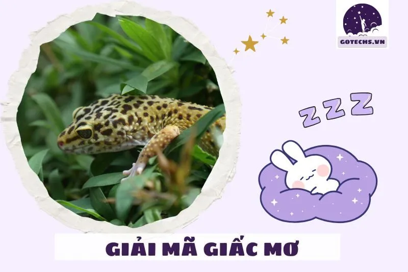 Giấc mơ thấy tắc kè và ảnh hưởng đến các khía cạnh cuộc sống