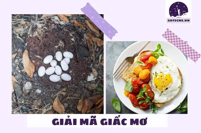 Giấc mơ thấy trứng rắn hoặc trứng ngỗng: Tốt hay xấu?