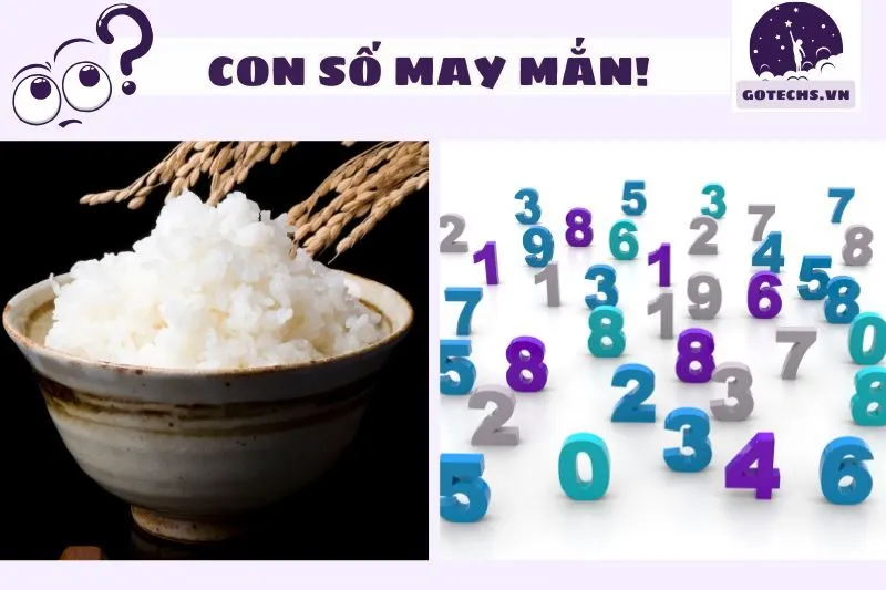 Giải Mã Các Chi Tiết Liên Quan Đến Mơ Thấy Cơm Trắng