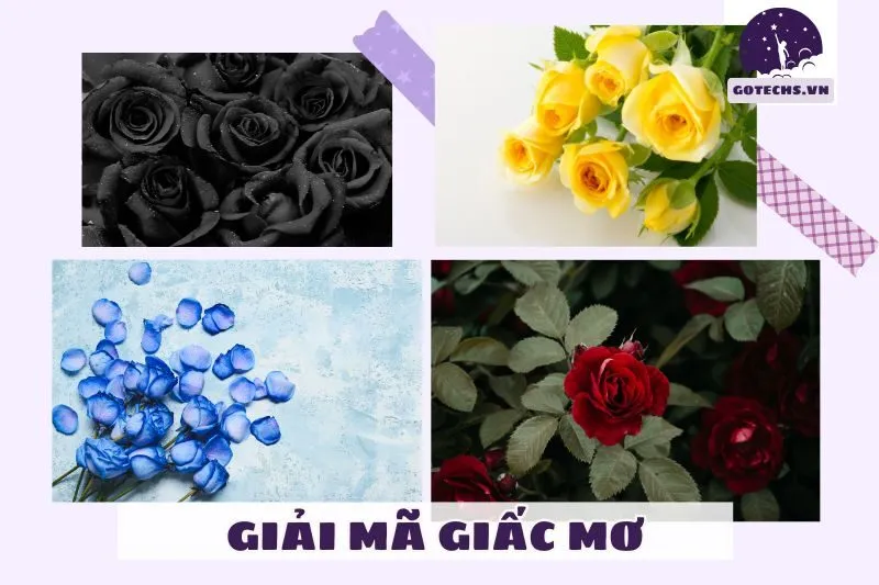 Giải mã các loại giấc mơ thấy cây hoa hồng