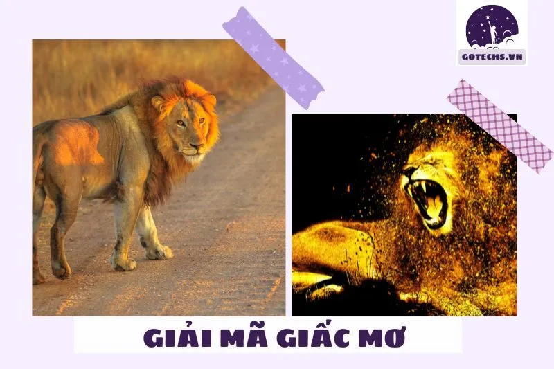 Giải Mã Các Trường Hợp Mơ Thấy Sư Tử Chi Tiết