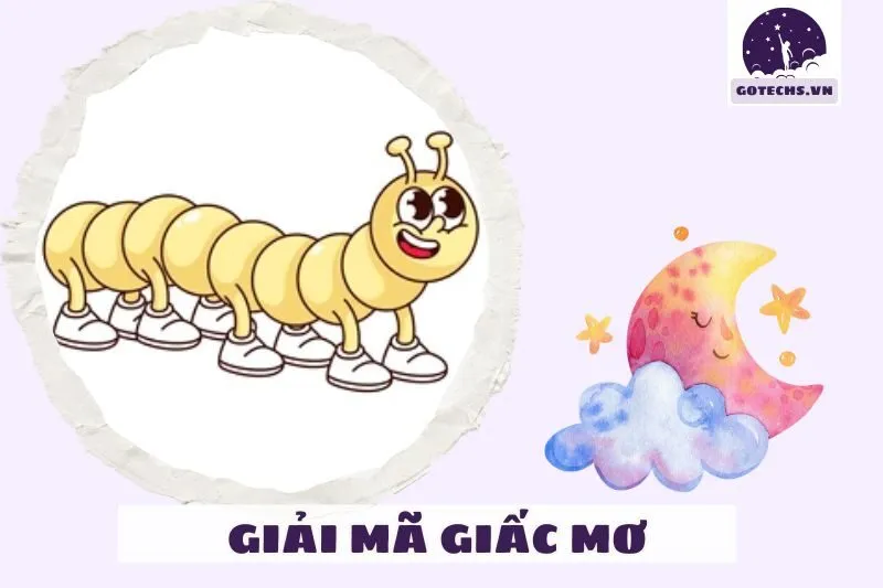 Giải Mã Chi Tiết Các Trường Hợp Khi Mơ Thấy Rết