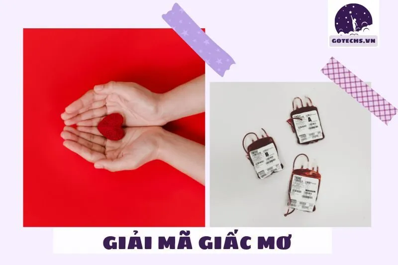 Giải mã chi tiết những giấc mơ thấy máu phổ biến