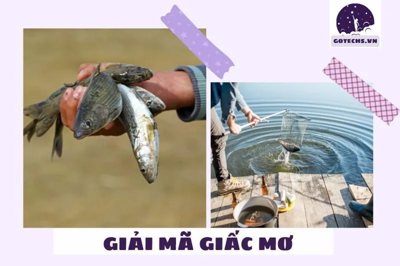 Giải mã chi tiết từng loại giấc mơ bắt cá và điềm báo