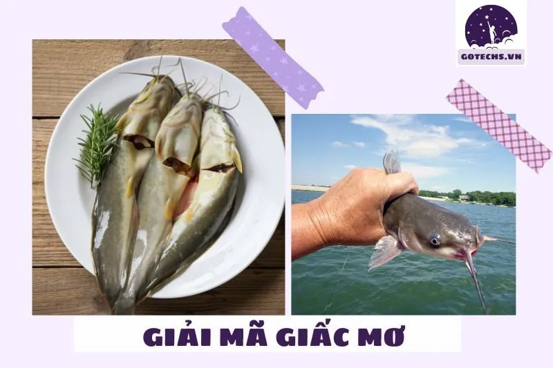 Giải mã giấc mơ nằm mơ thấy cá trê có ý nghĩa gì?