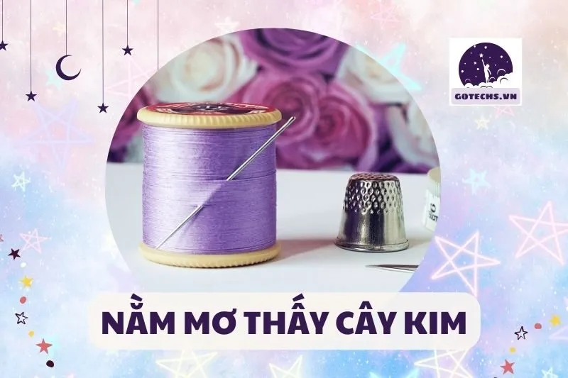 Giải mã giấc mơ nằm mơ thấy cây kim: Điềm báo xui hay may 2025