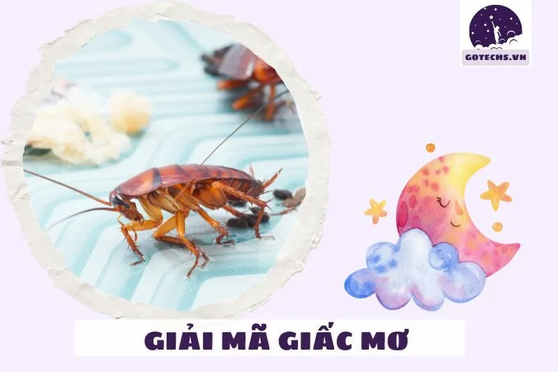 Giải mã giấc mơ thấy gián qua các chi tiết cụ thể