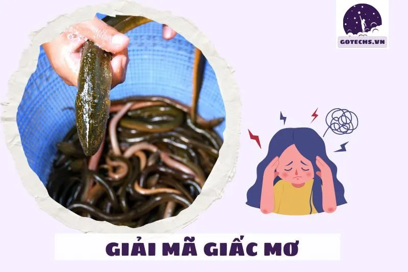 Giải mã giấc mơ thấy lươn chi tiết