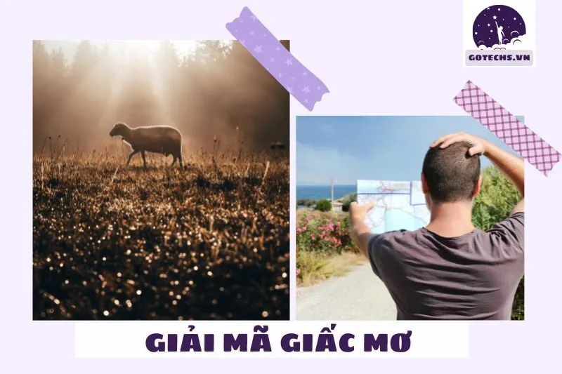 Giải mã và ý nghĩa giấc mơ thấy đi lạc