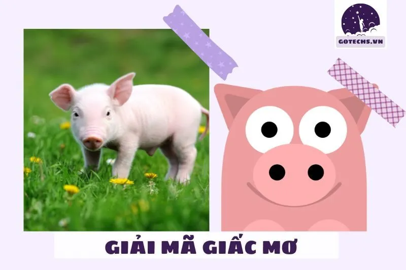 Giải Mã Ý Nghĩa Giấc Mơ Thấy Heo