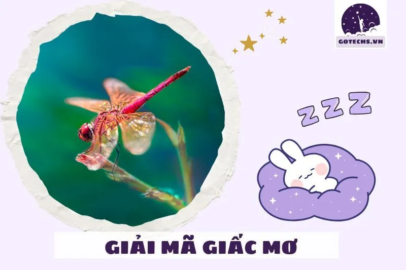 Giải pháp khi giấc mơ thấy sâu bọ mang điềm báo xấu