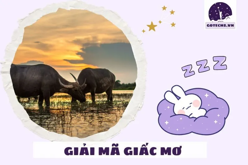 Hình tượng trâu trong văn hóa Việt Nam