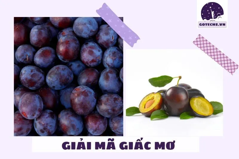 Làm Gì Khi Gặp Giấc Mơ Thấy Cây Mận?