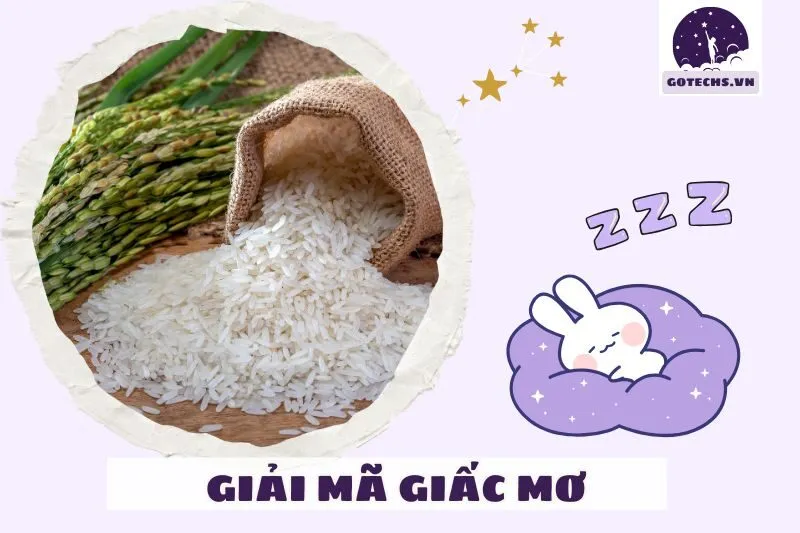 Làm gì sau khi nằm mơ thấy lúa?