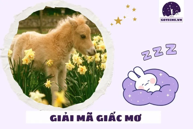 Liên kết giấc mơ thấy ngựa với tâm linh và văn hóa