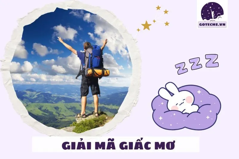 Lời khuyên để cân bằng cuộc sống sau khi mơ thấy ba ba