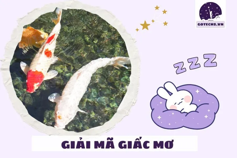 Lời Khuyên Khi Mơ Thấy Cá Chép