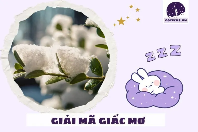 Lời khuyên khi mơ thấy tuyết