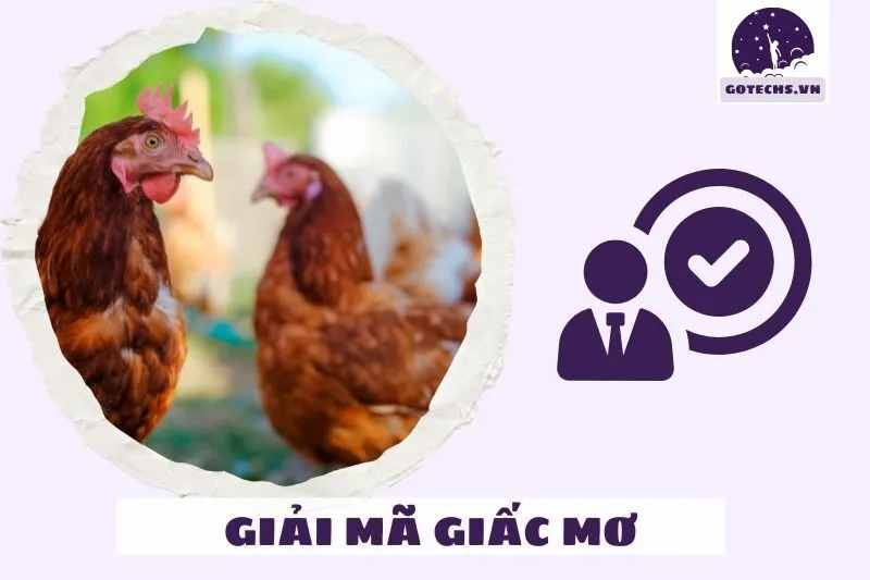 Lời khuyên khi nằm mơ thấy gà