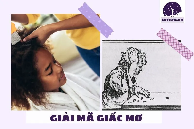 Mơ thấy chấy mang điềm báo tốt hay xấu? nằm mơ thấy con chấy