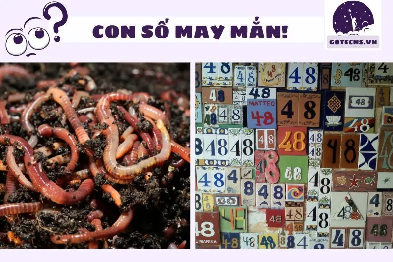 Mơ thấy giun đất đánh con gì?