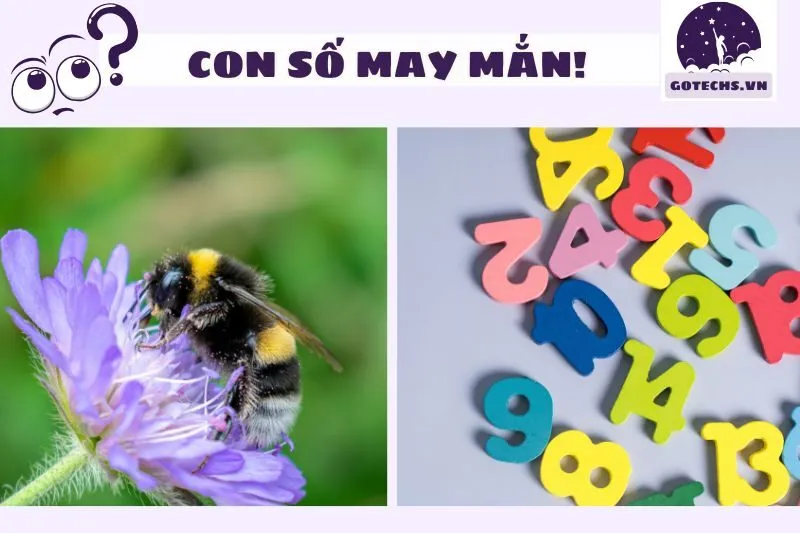 Mơ thấy ong và những con số may mắn