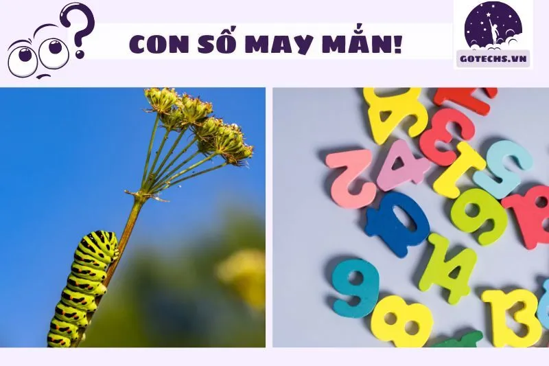 Mơ thấy sâu bọ mang đến con số may mắn nào?