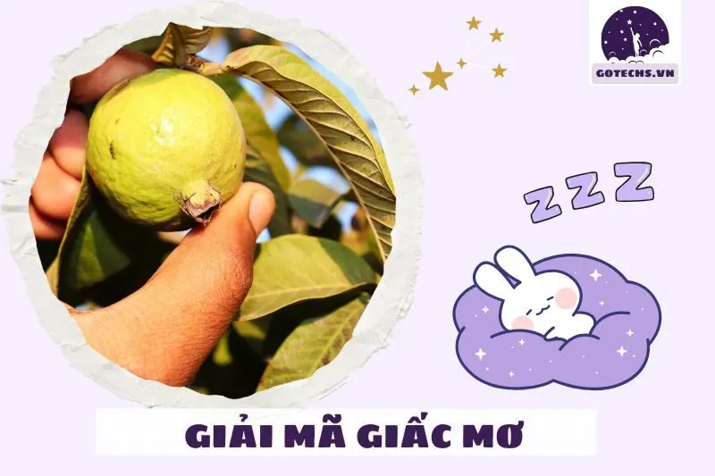Mối liên hệ giữa giấc mơ thấy ổi và đời sống tâm linh