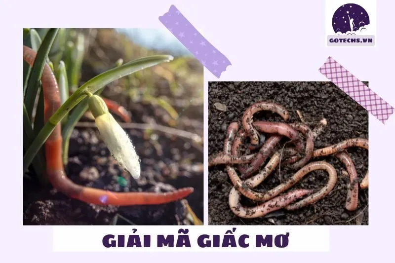 Điềm báo từ giấc mơ giun đất trong các tình huống