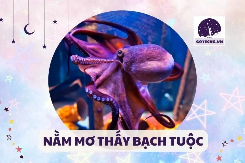 NẰM MƠ THẤY BẠCH TUỘC