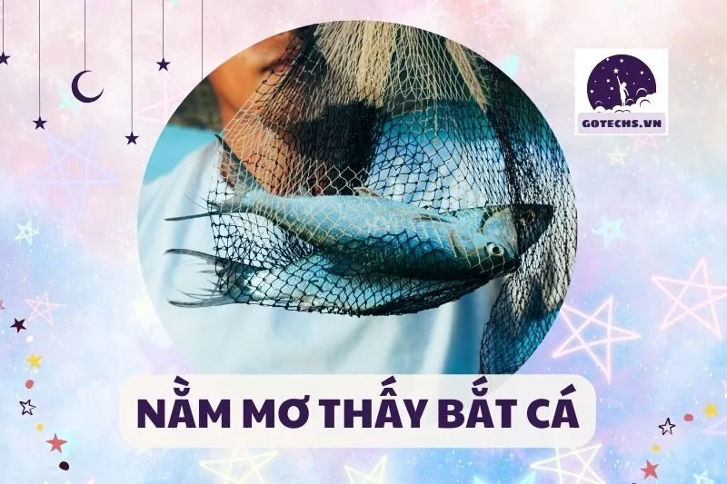 NẰM MƠ THẤY BẮT CÁ
