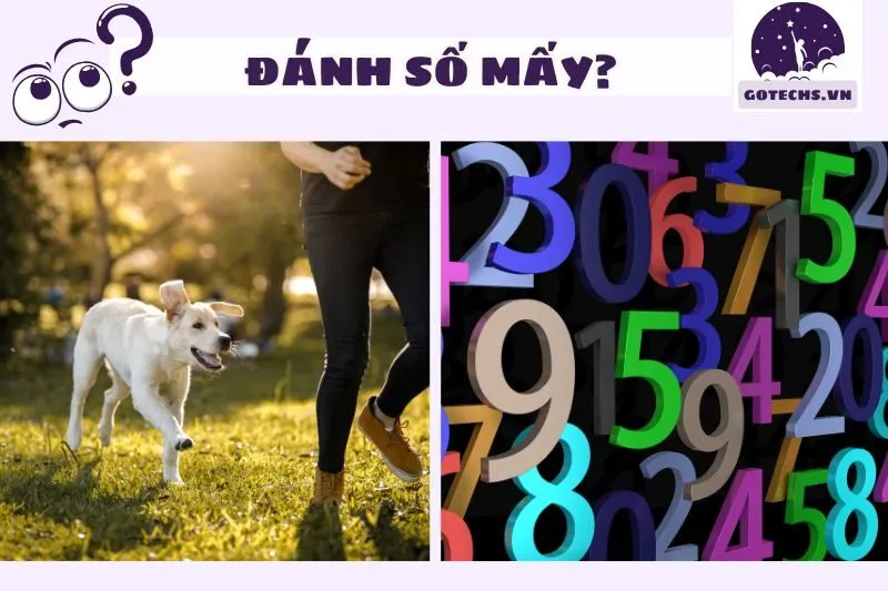 Nằm mơ thấy bị rượt đuổi nên đánh số nào?