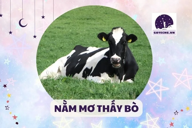 NẰM MƠ THẤY BÒ