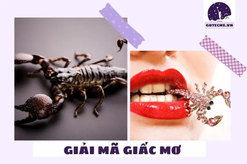 Nằm mơ thấy bò cạp có ý nghĩa gì?
