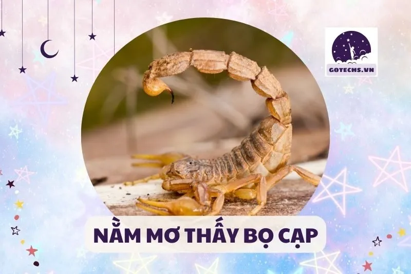 NẰM MƠ THẤY BỌ CẠP