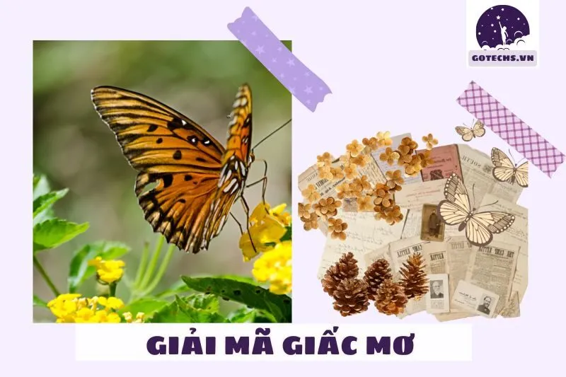 Nằm mơ thấy bướm có ý nghĩa gì?