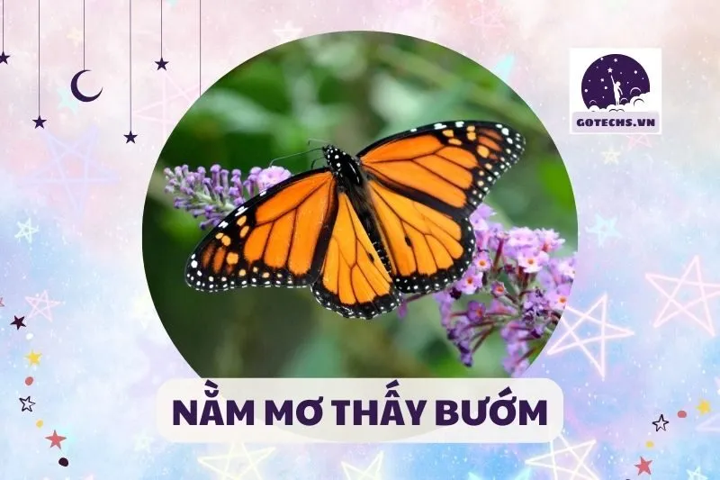 Nằm mƠ THẤY BƯỚM